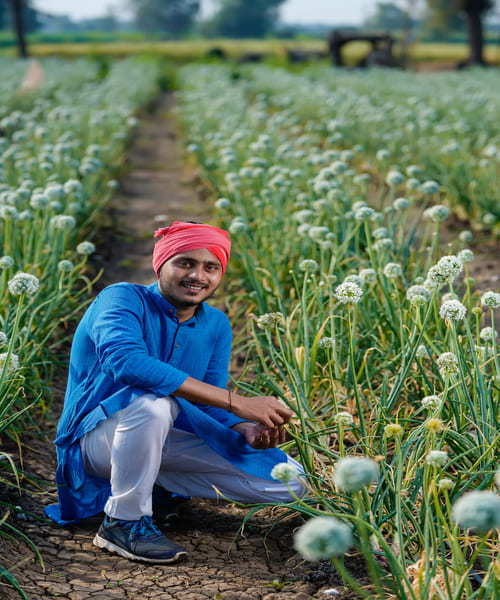 Agriculture in Himachal Pradesh